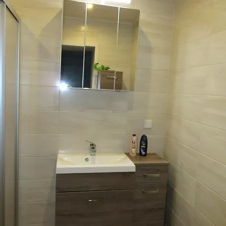 Ferienwohnung Kopp II Greiz Extérieur photo